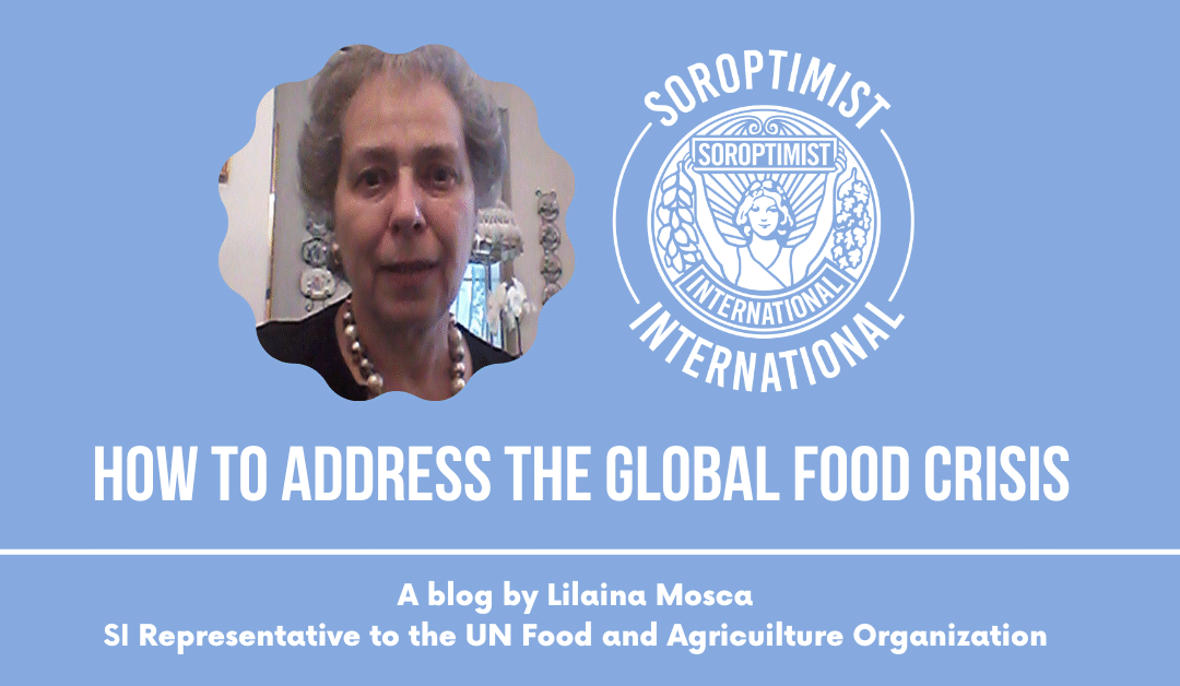 HOW TO ADDRESS THE GLOBAL FOOD CRISIS