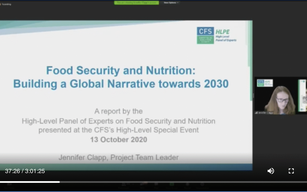 A Report on CFS Virtual 2020 Event: Global Governance of Food Security and Nutrition